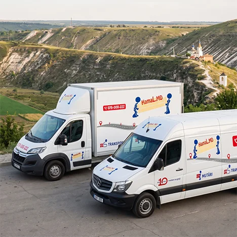 Camion și autoutilitară pregătite pe un drum panoramic pentru mutarea în alt oraș
